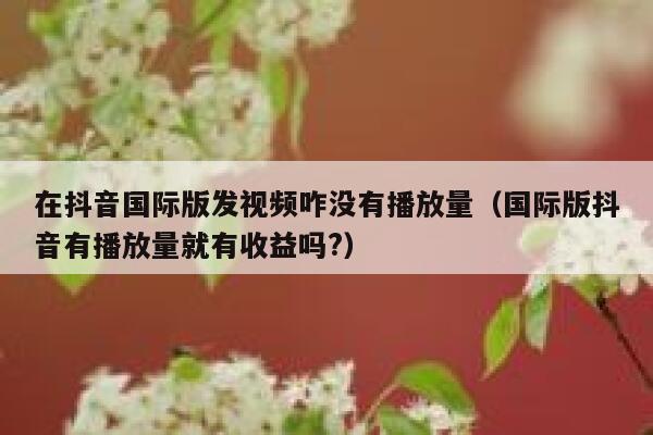 在抖音国际版发视频咋没有播放量(国际版抖音有播放量就有收益吗?) 第1张 在抖音国际版发视频咋没有播放量(国际版抖音有播放量就有收益吗?) 第1张