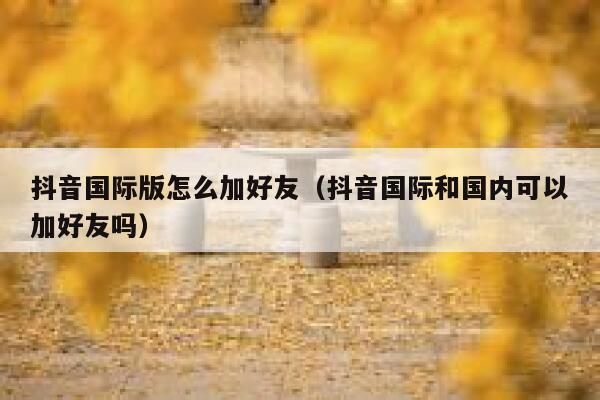 抖音国际版怎么加好友(抖音国际和国内可以加好友吗) 第1张 抖音国际版怎么加好友(抖音国际和国内可以加好友吗) 第1张