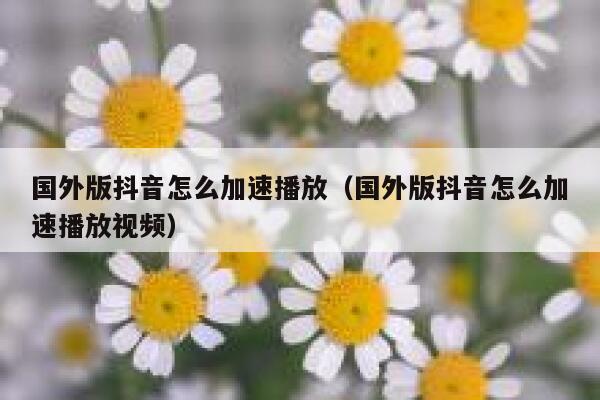 国外版抖音怎么加速播放(国外版抖音怎么加速播放视频) 第1张 国外版抖音怎么加速播放(国外版抖音怎么加速播放视频) 第1张