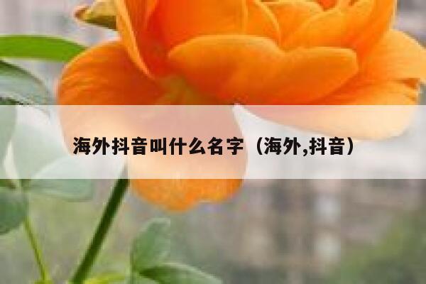海外抖音叫什么名字(海外,抖音) 第1张 海外抖音叫什么名字(海外,抖音) 第1张