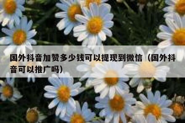 国外抖音加赞多少钱可以提现到微信(国外抖音可以推广吗) 第1张 国外抖音加赞多少钱可以提现到微信(国外抖音可以推广吗) 第1张