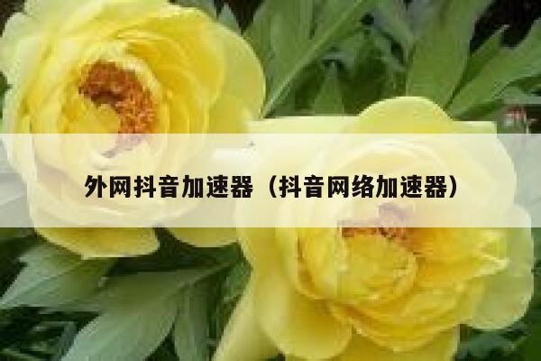 外网抖音加速器(抖音网络加速器) 第1张 外网抖音加速器(抖音网络加速器) 第1张