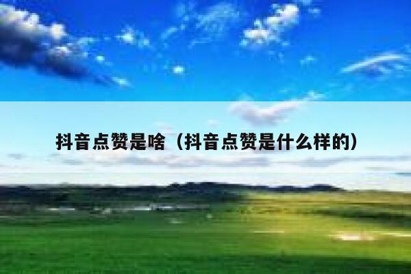 抖音点赞是啥(抖音点赞是什么样的) 第1张 抖音点赞是啥(抖音点赞是什么样的) 第1张