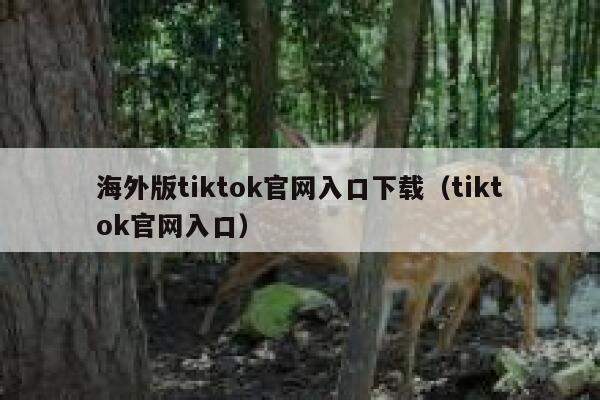 海外版tiktok官网入口下载(tiktok官网入口) 第1张 海外版tiktok官网入口下载(tiktok官网入口) 第1张