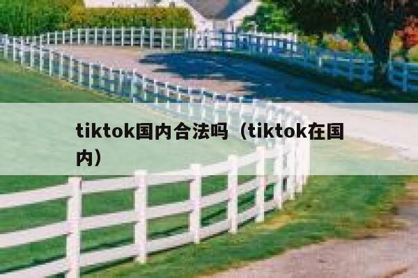 tiktok国内合法吗(tiktok在国内) 第1张 tiktok国内合法吗(tiktok在国内) 第1张
