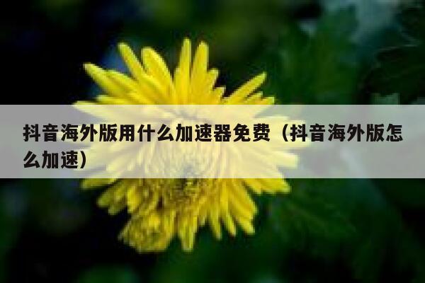 抖音海外版用什么加速器免费(抖音海外版怎么加速) 第1张 抖音海外版用什么加速器免费(抖音海外版怎么加速) 第1张