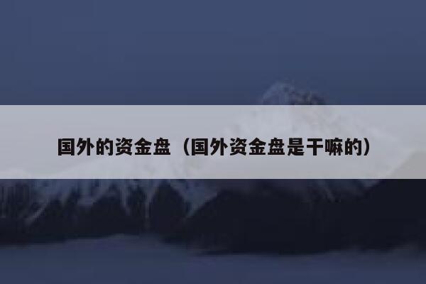 国外的资金盘(国外资金盘是干嘛的) 第1张 国外的资金盘(国外资金盘是干嘛的) 第1张