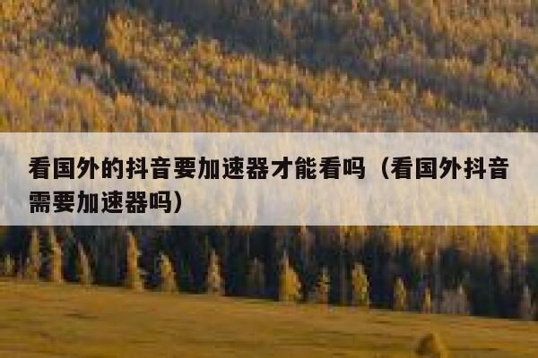 看国外的抖音要加速器才能看吗(看国外抖音需要加速器吗) 第1张 看国外的抖音要加速器才能看吗(看国外抖音需要加速器吗) 第1张
