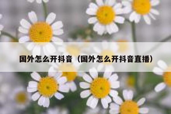 国外怎么开抖音(国外怎么开抖音直播) 第1张 国外怎么开抖音(国外怎么开抖音直播) 第1张