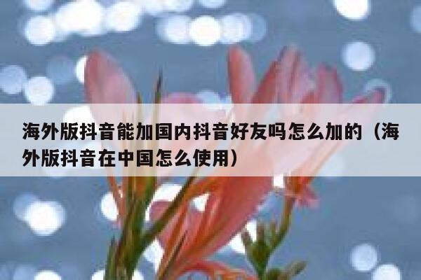 海外版抖音能加国内抖音好友吗怎么加的(海外版抖音在中国怎么使用) 第1张 海外版抖音能加国内抖音好友吗怎么加的(海外版抖音在中国怎么使用) 第1张