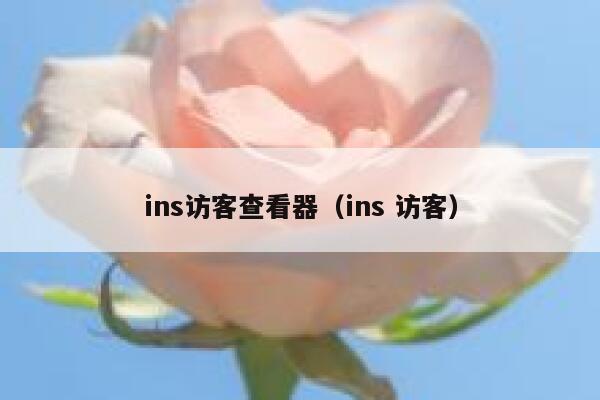 ins访客查看器(ins 访客) 第1张 ins访客查看器(ins 访客) 第1张