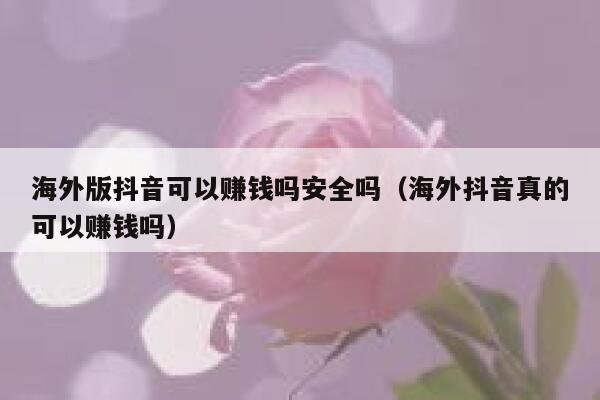 海外版抖音可以赚钱吗安全吗(海外抖音真的可以赚钱吗) 第1张 海外版抖音可以赚钱吗安全吗(海外抖音真的可以赚钱吗) 第1张