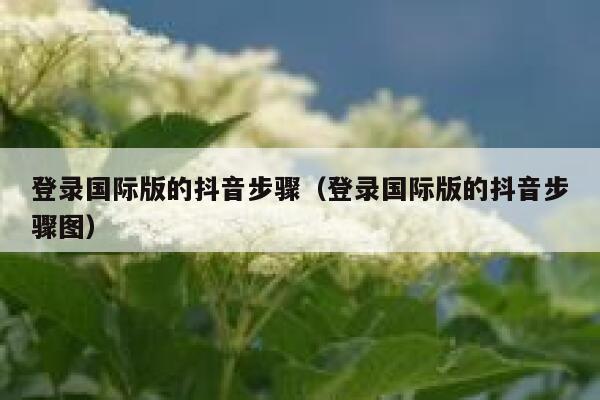 登录国际版的抖音步骤(登录国际版的抖音步骤图) 第1张 登录国际版的抖音步骤(登录国际版的抖音步骤图) 第1张