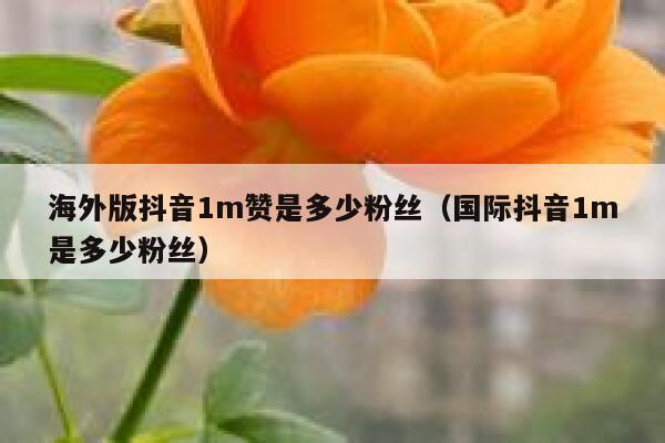 海外版抖音1m赞是多少粉丝(国际抖音1m是多少粉丝) 第1张 海外版抖音1m赞是多少粉丝(国际抖音1m是多少粉丝) 第1张