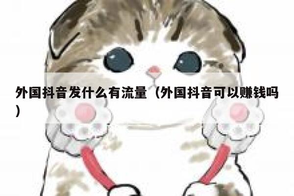 外国抖音发什么有流量（外国抖音可以赚钱吗） 第1张
