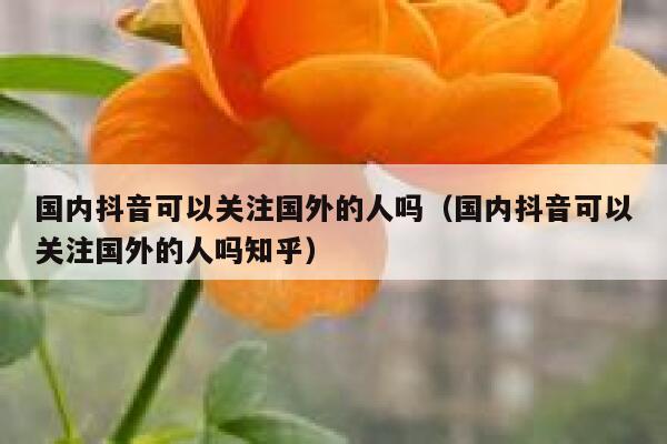 国内抖音可以关注国外的人吗(国内抖音可以关注国外的人吗知乎) 第1张 国内抖音可以关注国外的人吗(国内抖音可以关注国外的人吗知乎) 第1张
