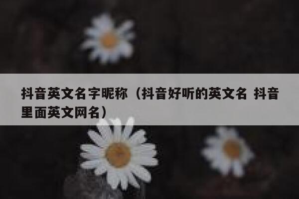 抖音英文名字昵称(抖音好听的英文名 抖音里面英文网名) 第1张 抖音英文名字昵称(抖音好听的英文名 抖音里面英文网名) 第1张