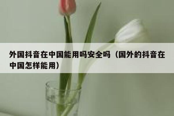 外国抖音在中国能用吗安全吗(国外的抖音在中国怎样能用) 第1张 外国抖音在中国能用吗安全吗(国外的抖音在中国怎样能用) 第1张