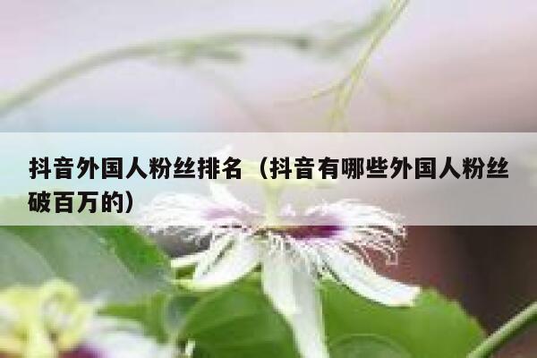 抖音外国人粉丝排名(抖音有哪些外国人粉丝破百万的) 第1张 抖音外国人粉丝排名(抖音有哪些外国人粉丝破百万的) 第1张