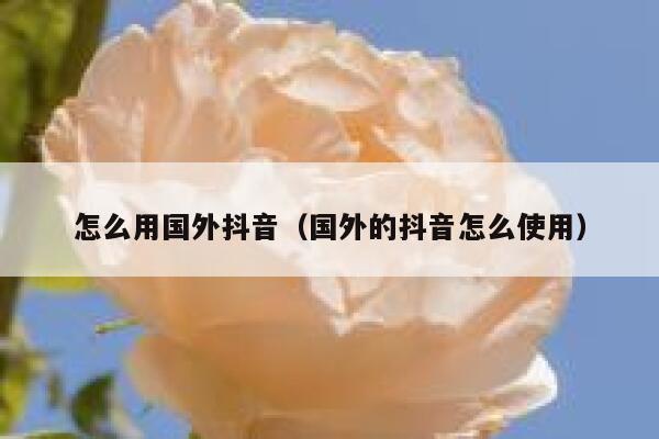 怎么用国外抖音(国外的抖音怎么使用) 第1张 怎么用国外抖音(国外的抖音怎么使用) 第1张