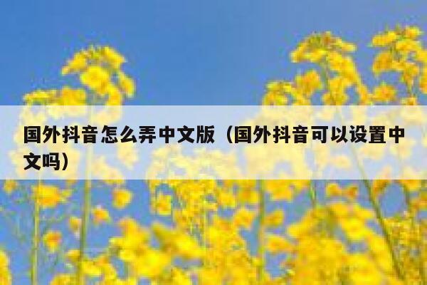 国外抖音怎么弄中文版(国外抖音可以设置中文吗) 第1张 国外抖音怎么弄中文版(国外抖音可以设置中文吗) 第1张