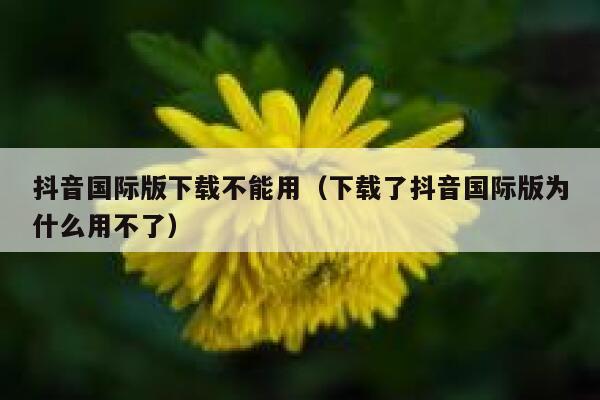 抖音国际版下载不能用(下载了抖音国际版为什么用不了) 第1张 抖音国际版下载不能用(下载了抖音国际版为什么用不了) 第1张
