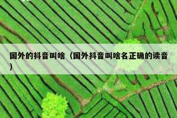 国外的抖音叫啥（国外抖音叫啥名正确的读音） 第1张