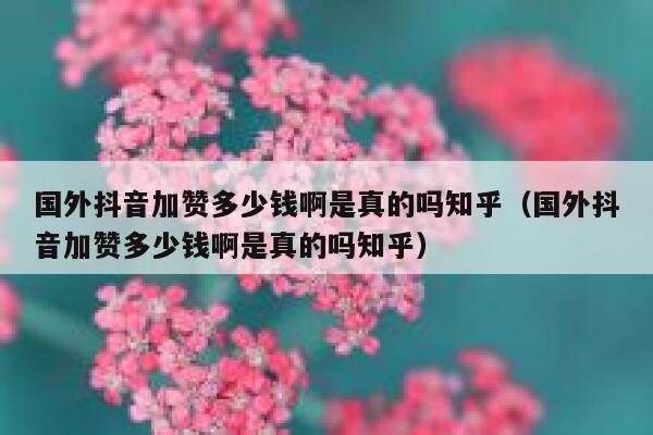 国外抖音加赞多少钱啊是真的吗知乎(国外抖音加赞多少钱啊是真的吗知乎) 第1张 国外抖音加赞多少钱啊是真的吗知乎(国外抖音加赞多少钱啊是真的吗知乎) 第1张