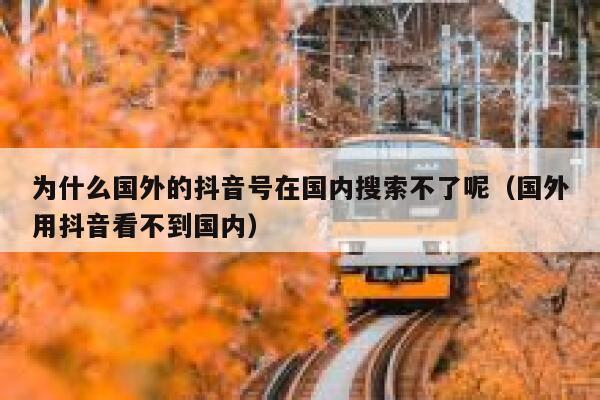 为什么国外的抖音号在国内搜索不了呢（国外用抖音看不到国内） 第1张