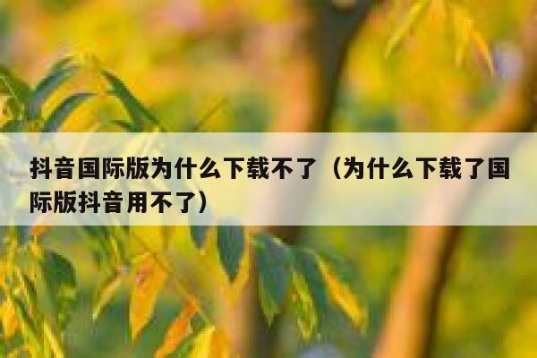 抖音国际版为什么下载不了(为什么下载了国际版抖音用不了) 第1张 抖音国际版为什么下载不了(为什么下载了国际版抖音用不了) 第1张