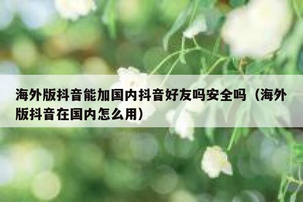 海外版抖音能加国内抖音好友吗安全吗(海外版抖音在国内怎么用) 第1张 海外版抖音能加国内抖音好友吗安全吗(海外版抖音在国内怎么用) 第1张