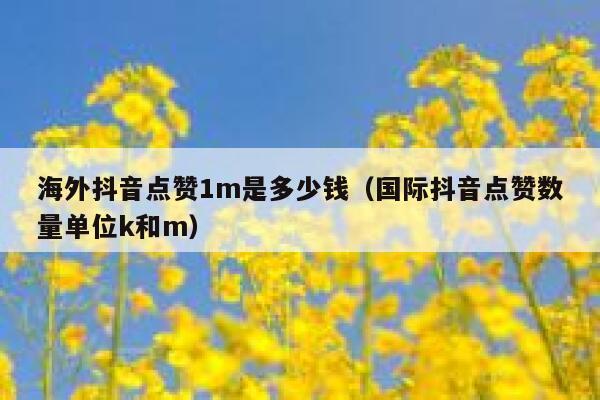 海外抖音点赞1m是多少钱(国际抖音点赞数量单位k和m) 第1张 海外抖音点赞1m是多少钱(国际抖音点赞数量单位k和m) 第1张