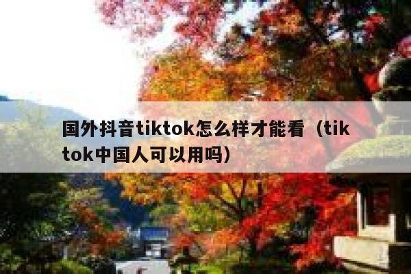 国外抖音tiktok怎么样才能看（tiktok中国人可以用吗） 第1张