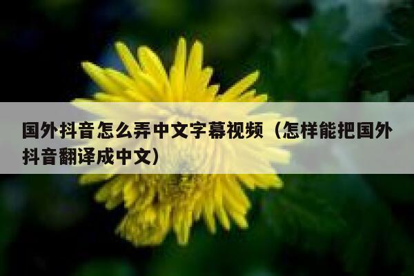 国外抖音怎么弄中文字幕视频（怎样能把国外抖音翻译成中文） 第1张