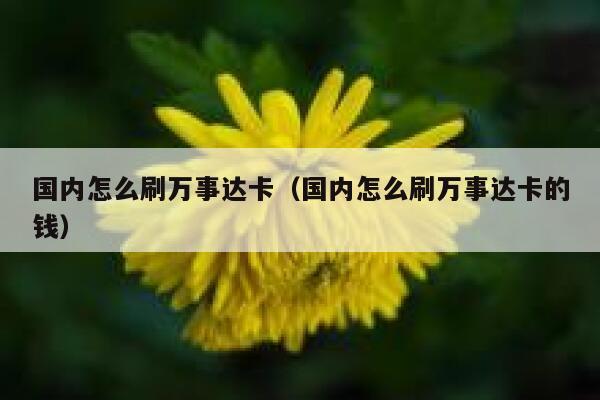 国内怎么刷万事达卡（国内怎么刷万事达卡的钱） 第1张