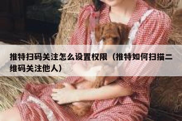 推特扫码关注怎么设置权限（推特如何扫描二维码关注他人） 第1张