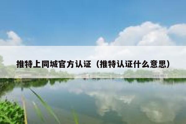 推特上同城官方认证（推特认证什么意思） 第1张