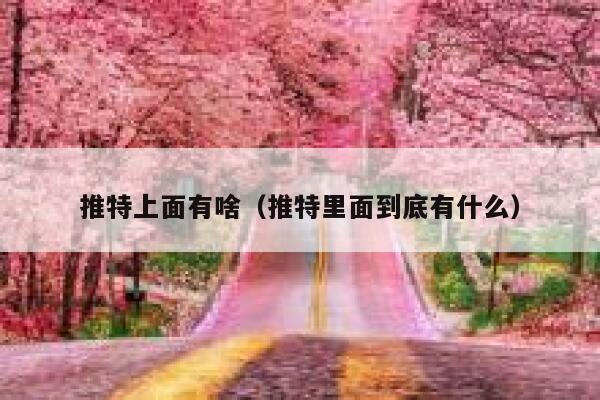 推特上面有啥(推特里面到底有什么) 第1张 推特上面有啥(推特里面到底有什么) 第1张