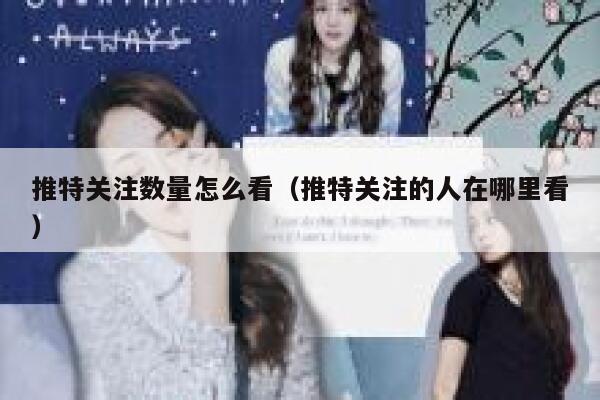 推特关注数量怎么看(推特关注的人在哪里看) 第1张 推特关注数量怎么看(推特关注的人在哪里看) 第1张