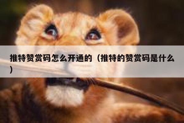 推特赞赏码怎么开通的(推特的赞赏码是什么) 第1张 推特赞赏码怎么开通的(推特的赞赏码是什么) 第1张