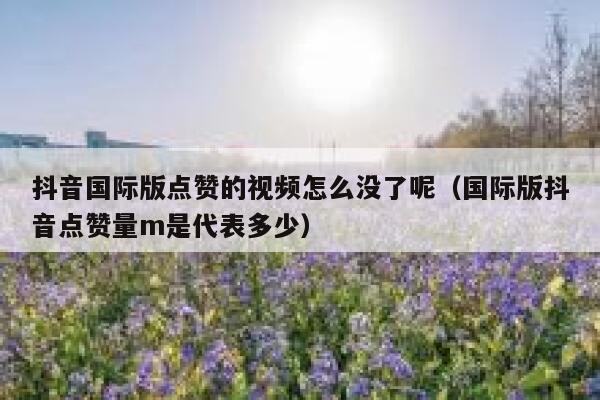 抖音国际版点赞的视频怎么没了呢(国际版抖音点赞量m是代表多少) 第1张 抖音国际版点赞的视频怎么没了呢(国际版抖音点赞量m是代表多少) 第1张