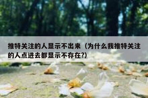 推特关注的人显示不出来（为什么我推特关注的人点进去都显示不存在?） 第1张