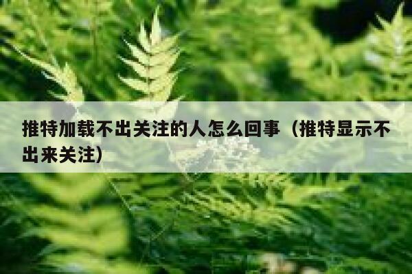 推特加载不出关注的人怎么回事（推特显示不出来关注） 第1张