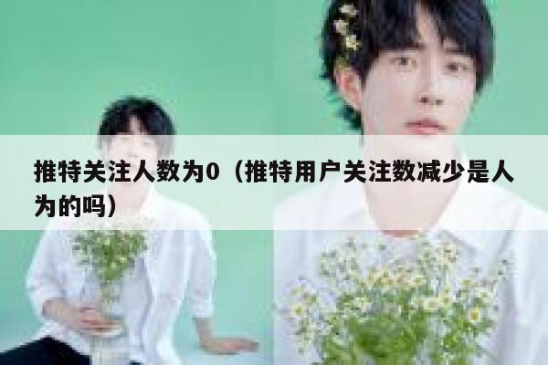 推特关注人数为0(推特用户关注数减少是人为的吗) 第1张 推特关注人数为0(推特用户关注数减少是人为的吗) 第1张