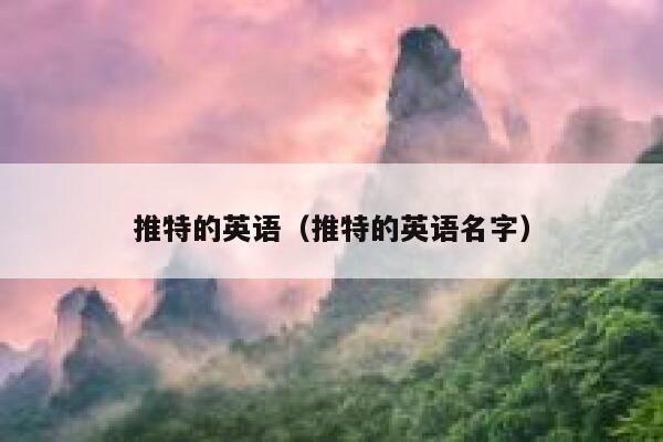 推特的英语（推特的英语名字） 第1张