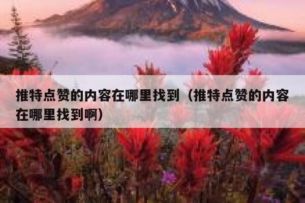 推特点赞的内容在哪里找到（推特点赞的内容在哪里找到啊） 第1张