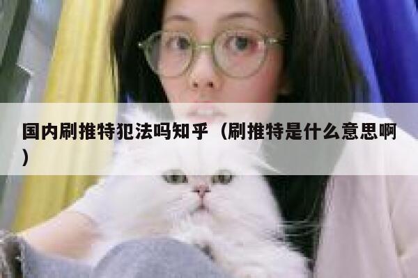 国内刷推特犯法吗知乎(刷推特是什么意思啊) 第1张 国内刷推特犯法吗知乎(刷推特是什么意思啊) 第1张