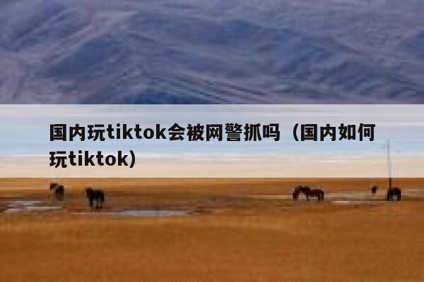 国内玩tiktok会被网警抓吗（国内如何玩tiktok） 第1张