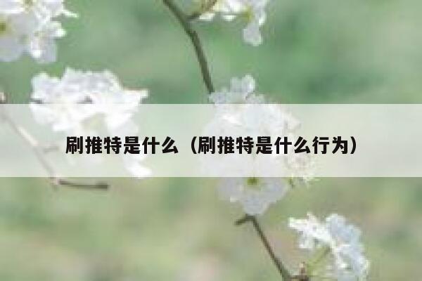 刷推特是什么(刷推特是什么行为) 第1张 刷推特是什么(刷推特是什么行为) 第1张