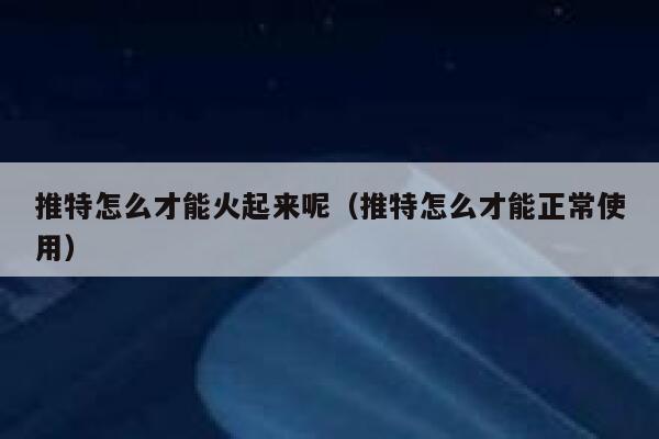 推特怎么才能火起来呢（推特怎么才能正常使用） 第1张
